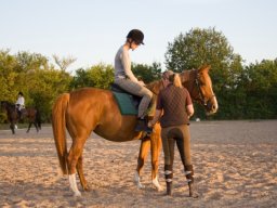 WEB_IMG-7122